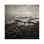 ARBOURETUM – COMING OUT OF THE FOG