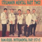 VARIOUS – STRUMMIN’ MENTAL! PART 2