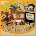 WASHED OUT – MISTER MELLOW