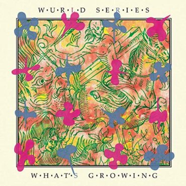 WURLD SERIES – WHAT’S GROWING