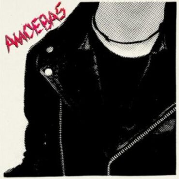 AMOEBAS – AMOEBAS