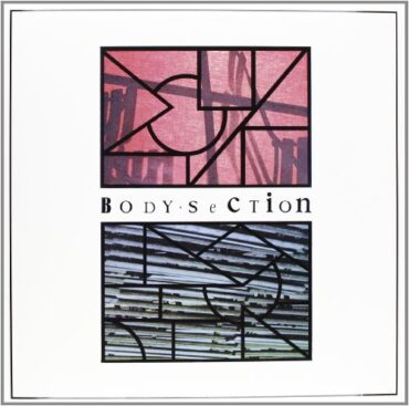 BODY SECTION – BODY SECTION