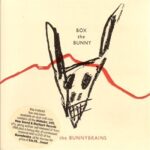 BUNNY BRAINS – BOX THE BUNNY (4CD/1DVD)