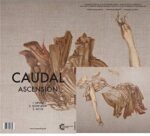 CAUDAL – ASCENSION