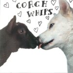 COACHWHIPS – BANGERS VS. FUCKERS