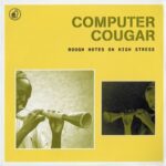 COMPUTER COUGAR – ROUGH NOTES ON HIGH STRESS