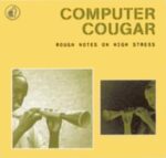 COMPUTER COUGAR – ROUGH NOTES ON HIGH STRESS