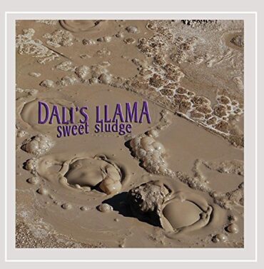 DALI’S LLAMA – SWEET SLUDGE