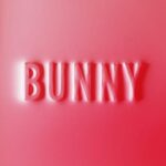 MATTHEW DEAR – BUNNY