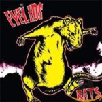 THE EYELIDS – RATS