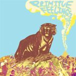 THE HIGH DIALS – PRIMITIVE FEELINGS (180 GR)