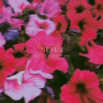 NEAUX – FELL OFF THE DEEP END