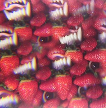 THEE OH SEES – FLOATING COFFIN