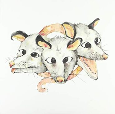 OPOSSUMS – OPOSSUMS