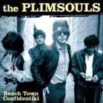 PLIMSOULS – BEACH TOWN CONFIDENTIAL