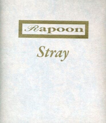 RAPOON – STRAY