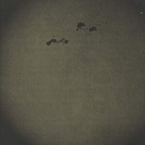 S U R V I V E – HD015