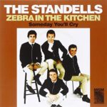 THE STANDELLS – ZEBRA IN THE KITCHEN