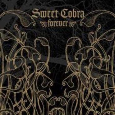 SWEET COBRA – FOREVER