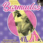 BARMUDAS – EVERYDAY IS A SATURDAY NIGHT