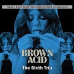 VARIOUS – BROWN ACID: THE SIXTH TRIP