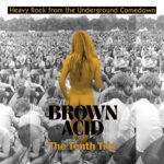 VARIOUS – BROWN ACID: THE TENTH TRIP