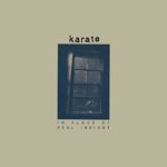 KARATE – IN PLACE OF REAL INSIGHT