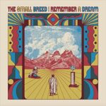 THE SMALL BREED – REMEMBER A DREAM