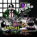 RAW POWER/ANANAS – SPLIT SINGLE (40TH ANN. REISSUE)