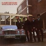 THE FLAMIN’ GROOVIES – SHAKE SOME ACTION