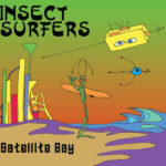 INSECT SURFERS – SATELLITE BAY