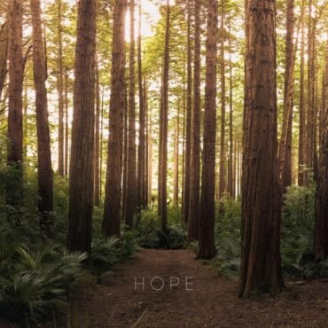 SHAMIR - HOPE (LIME GREEN VINYL)