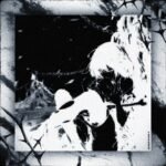 Assailant, The - Nurse (Pic Disc)