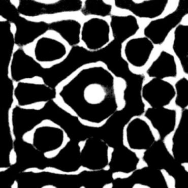 Coalesce - Salt And Passage