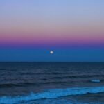 HERSHEY, JEFF & THE HEARTBEATS - SANTA CLAUS IS A MONSTER