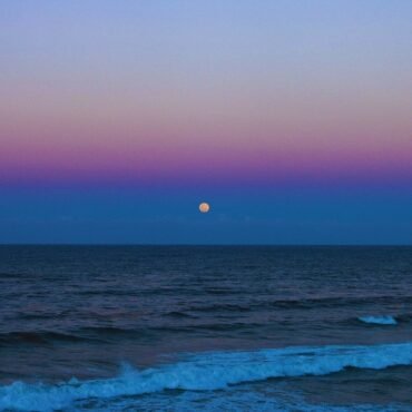 HERSHEY, JEFF & THE HEARTBEATS - SANTA CLAUS IS A MONSTER