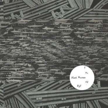 Flat Worms - Red Hot Sands