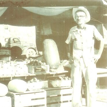 LONGSHOTS, THE - THE LONGSHOTS