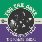 The Killing Floors Too Far Gone/You Know It Ain't Right