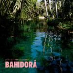 AFRICA EXPRESS - AFRICA EXPRESS PRESENTS BAHIDORA