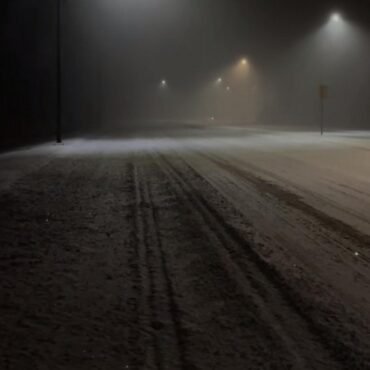 Pujol - Circles (Rsd)