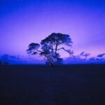 Transilience - Nervesaw Ep