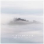 VICE COOLER - LOST IN A DREAM