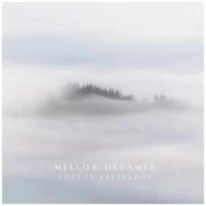 VICE COOLER - LOST IN A DREAM