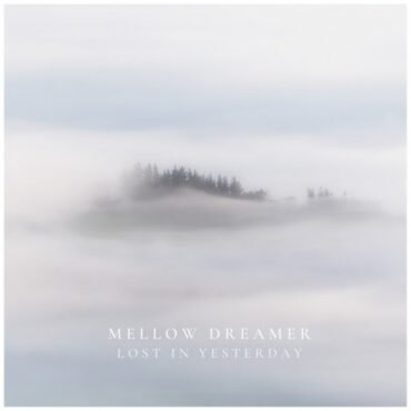 VICE COOLER - LOST IN A DREAM