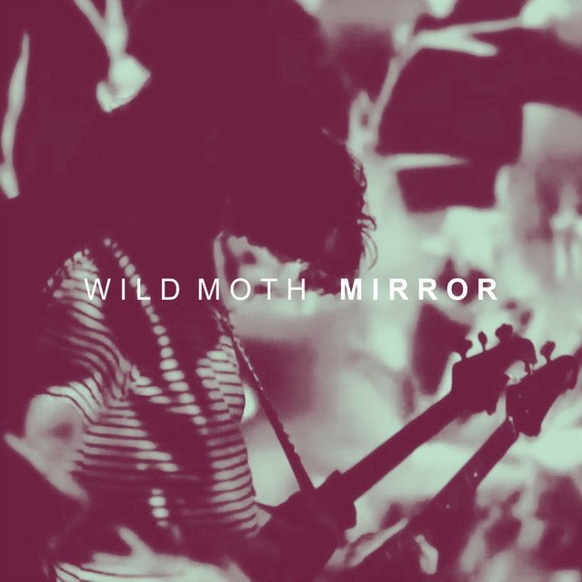 Wild Moth - Mirror