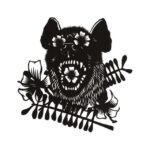 OKKERVIL RIVER - RIDER