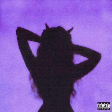 Shadow, The - Punk Rock Agent