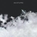 Barry, Tim - 28Th & Stonewall (Color)