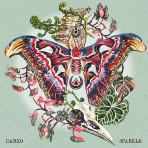 Darko - Sparkle vinyl record [12-inch single]